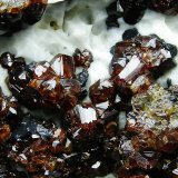 Esfalerita, Galena y Calcita
12 x 6.5 cm
(Autor: Diego Navarro)