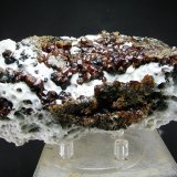 Esfalerita, Galena y Calcita
12 x 6.5 cm
(Autor: Diego Navarro)