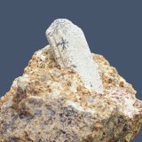 Ortoclasa
Cristal de 48x23x9mm
(Autor: Antonio Carmona)