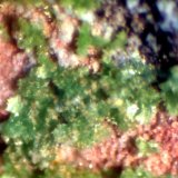 Duftita
2 mm
(Autor: José Luis Zamora)