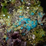 Duftita y Crisocola.
5´746 x 4´579 mm.
(Autor: Jesus Franquesa Baucells)