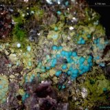 Duftita y Crisocola.
5´746 x 4´579 mm.
(Autor: Jesus Franquesa Baucells)