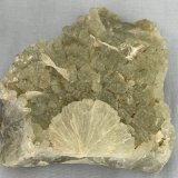 Prehnita
6cm de largo y 6,5cm de alto
(Autor: castrominerals)