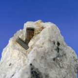 Elbaita (grupo de la turmalina)
Pieza: 6,7x6 cm. Cristal: 1,1cm.
(Autor: DAni)