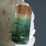 Elbaita
cristal 8x22mm
(Autor: Ramon A  Lopez Garcia)