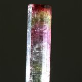 Elbaita
8x40 mm
(Autor: Ramon A  Lopez Garcia)