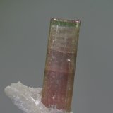 Elbaíta
12x52 mm
(Autor: Ramon A  Lopez Garcia)