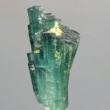 Elbaita (variedad indicolita)
cristal 20x45 mm
(Autor: Ramon A  Lopez Garcia)