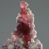 Elbaíta (variedad rubelita) con Albita y Lepidolita
cristal 45 mm
(Autor: Ramon A  Lopez Garcia)