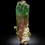 Elbaita con Albita (variedad cleavelandita)
9 x 9 x 28 cm / cristal principal: 27.0 cm.
(Autor: Museo MIM)