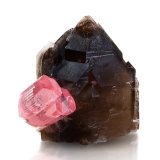Elbaita
10 x 12 x 12.5 cm / cristal principal: 5.4 cm
(Autor: Museo MIM)