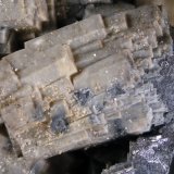 Fosfohedifana
FOV 1.2 cm
(Autor: Cesar M. Salvan)