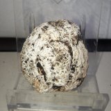 Tinticita
3x3 cm.
(Autor: Adri Rodríguez)