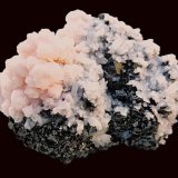 Rodocrosita, Esfalerita, Cuarzo
Eniovche Mine, Ardino Obshtina, Kardzhali Oblast, Bulgaria
5 x 4 cm.
(Autor: javier ruiz martin)