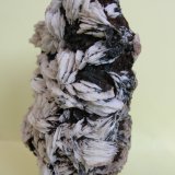 Baritina
10 x 5,5 cm
(Autor: Pedro Conesa)