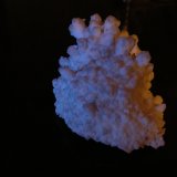 Celestina
8 x 5,5 cm
(Autor: Pedro Conesa)