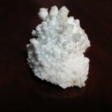 Celestina
8 x 5,5 cm
(Autor: Pedro Conesa)