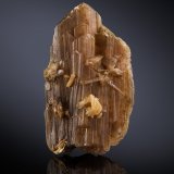 Eosforita [Eosphorite]
3 x 1.5 x 5.5 cm / cristal principal: 5.4 cm
(Autor: Museo MIM)
