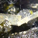 Estilbita-Ca sobre Epidota
Diaboukara, Commune Diakon, Arrondissement Diakon, Cercle Bafoulabé, Región Kayes, Mali
0,3 cm. largo del cristal.
(Autor: javier ruiz martin)
