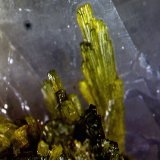 Epidota.
2´573 x 1´894 mm.
(Autor: Jesus Franquesa Baucells)