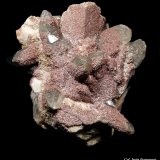 Epidota, Cuarzo y Microlina.
50x44 mm.
(Autor: Jesus Franquesa Baucells)