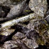 Epidota.
2´859 x 0´731 mm.
(Autor: Jesus Franquesa Baucells)