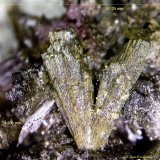 Epidota y Hematites.
6´125 x 4´595 mm.
(Autor: Jesus Franquesa Baucells)