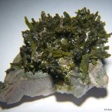 Epidota.
29x20 mm.
(Autor: Jesus Franquesa Baucells)