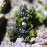 Epidota
1 mm
(Autor: canada)