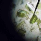 Clinozoisita
0,5 mm cada cristal
(Autor: Alvaro2121)