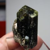 Epidota
15x35 mm
(Autor: Ignacio)