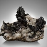 Epidota con Calcita
24 x 19 x 12 cm / cristal principal: 6.4 cm
(Autor: Museo MIM)