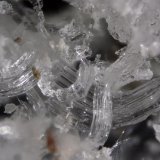 Epsomita
FOV 0.3 cm
(Autor: Cesar M. Salvan)