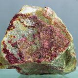 Eritrina
27x27 mm
(Autor: Juan Espino)