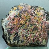 Eritrina
90x80 mm
(Autor: Juan Espino)