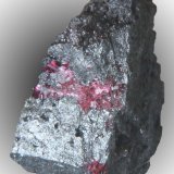 Eritrina
2 x 1 cms
(Autor: José Luis Zamora)