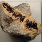 Eritrina
6 x 5 cm.
(Autor: Echevarria)