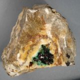 Eritrina
6 x 6 cm.
(Autor: Echevarria)