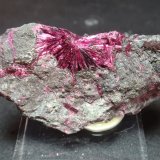 Eritrita (Eritrina)
60x30 mm
(Autor: Ignacio)