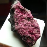 Eritrina
20x40 mm
(Autor: Ignacio)