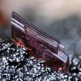 Eritrina, Goethita
Campo de visión 2 mm.
(Autor: Juan Miguel)