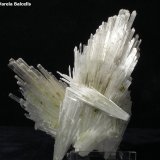 (Autor: Frederic Varela)