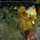 Escorodita [Scorodite]
6´62 x 5´31 mm.
(Autor: Jesus Franquesa Baucells)
