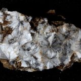 Escolecita
50 x 30 x 15 mm
(Autor: José Luis Zamora)