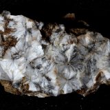 Escolecita
50 x 30 x 15 mm
(Autor: José Luis Zamora)
