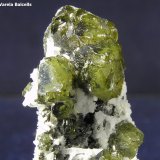 Esfalerita
Encuadre 1,5 x 1 cm. aprox.
(Autor: Frederic Varela)