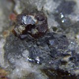 Esfalerita y Galena
Cristal de Esfalerita de 0,5 cm.
(Autor: Darío Menéndez)