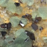 Esfalerita, Fluorita, Cuarzo y Pirita
Cristales de entre 1 y 2 mm de esfalerita
(Autor: Emilio Téllez)