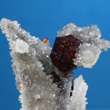 Esfalerita
cristal 10 mm
(Autor: Ramon A  Lopez Garcia)