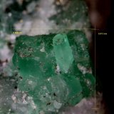 Berilo (variedad esmeralda).
0´896 x 0´813 mm.
(Autor: Jesus Franquesa Baucells)